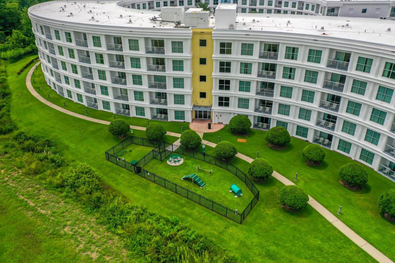 Pet Friendly In Orlando Area Near Disney Селебрейшн Екстер'єр фото